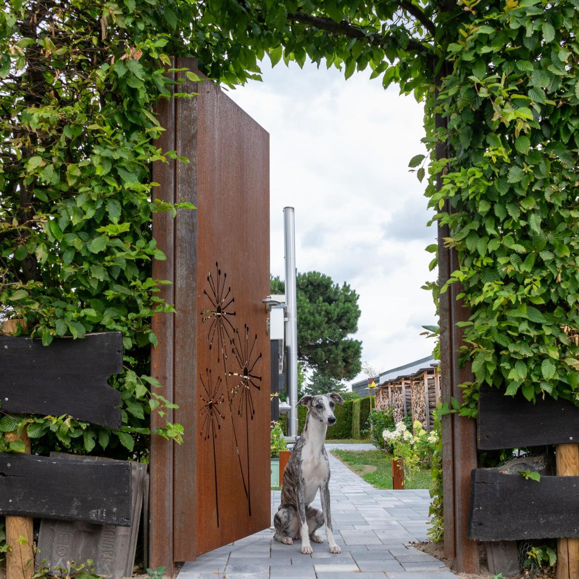Birgits Lodge Rheinbach Esterno foto